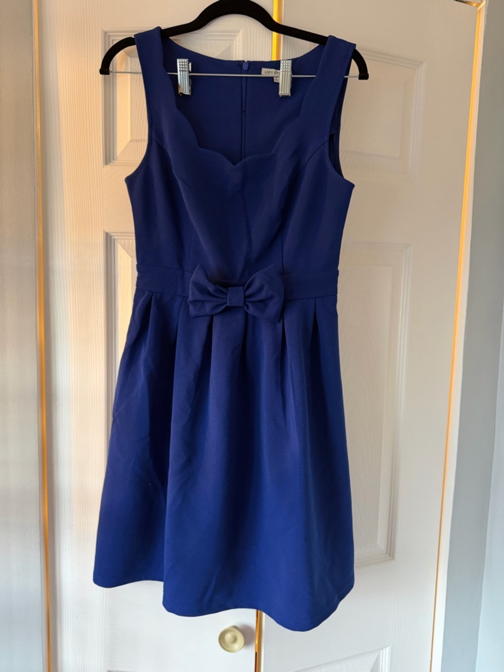 Lace and Mesh- Sleeveless Fit & Flare Dress